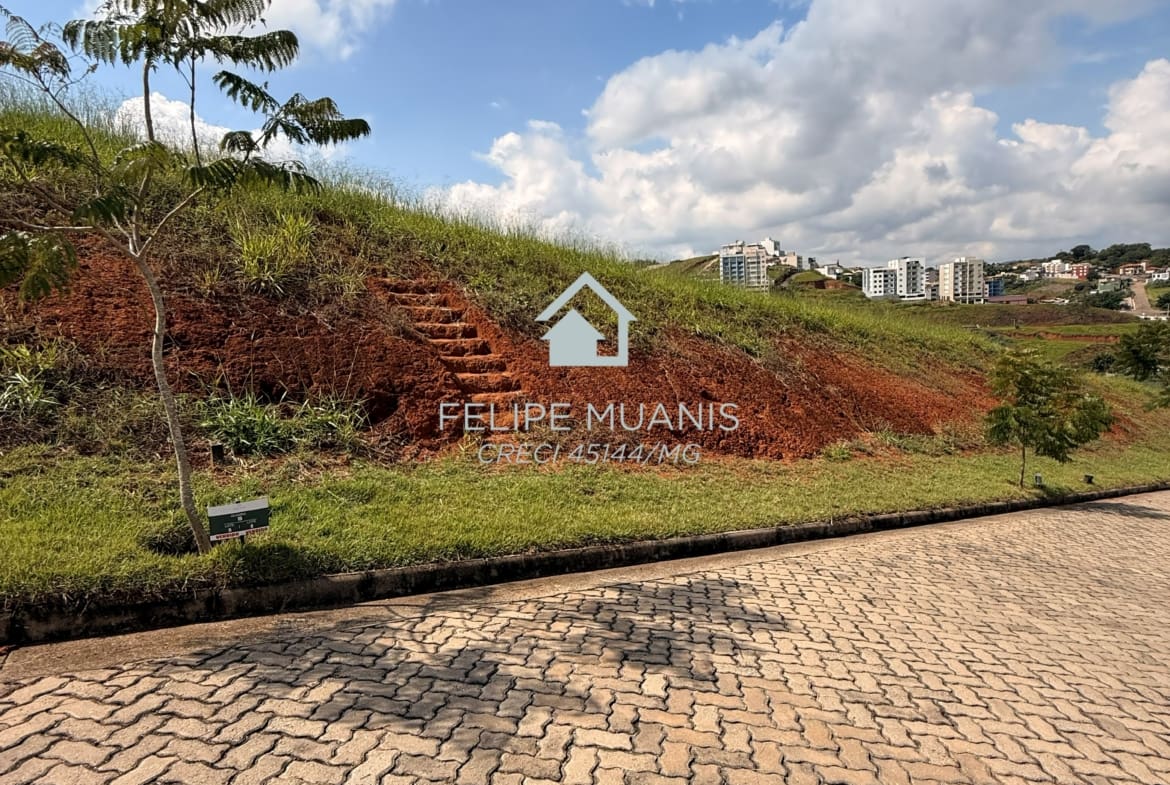 LOTE ESTRELA DA MATA