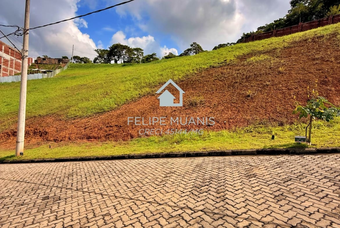 LOTE ESTRELA DA MATA