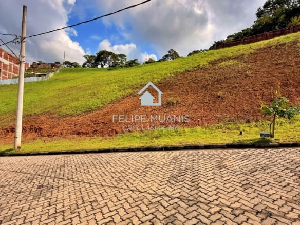 LOTE ESTRELA DA MATA