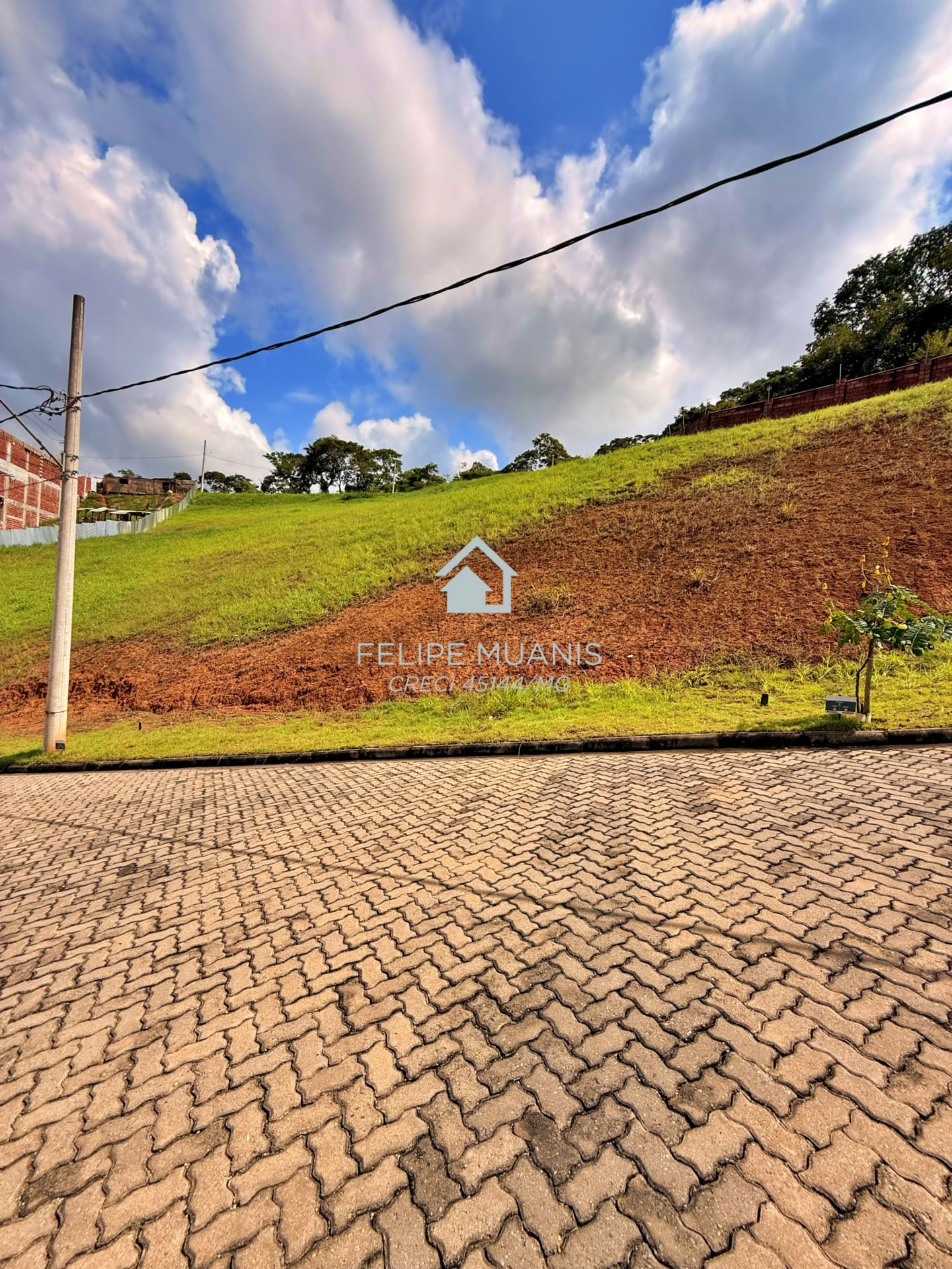 1 LOTE ESTRELA DA MATA