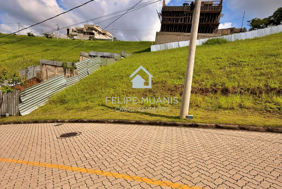 LOTE ESTRELA DA MATA