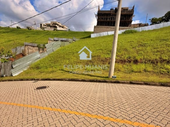 LOTE ESTRELA DA MATA