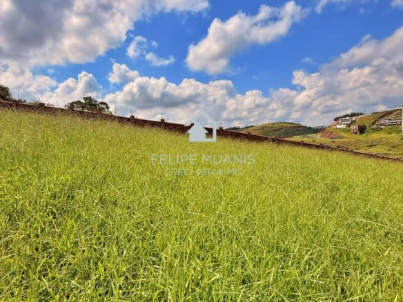 LOTE ESTRELA DA MATA