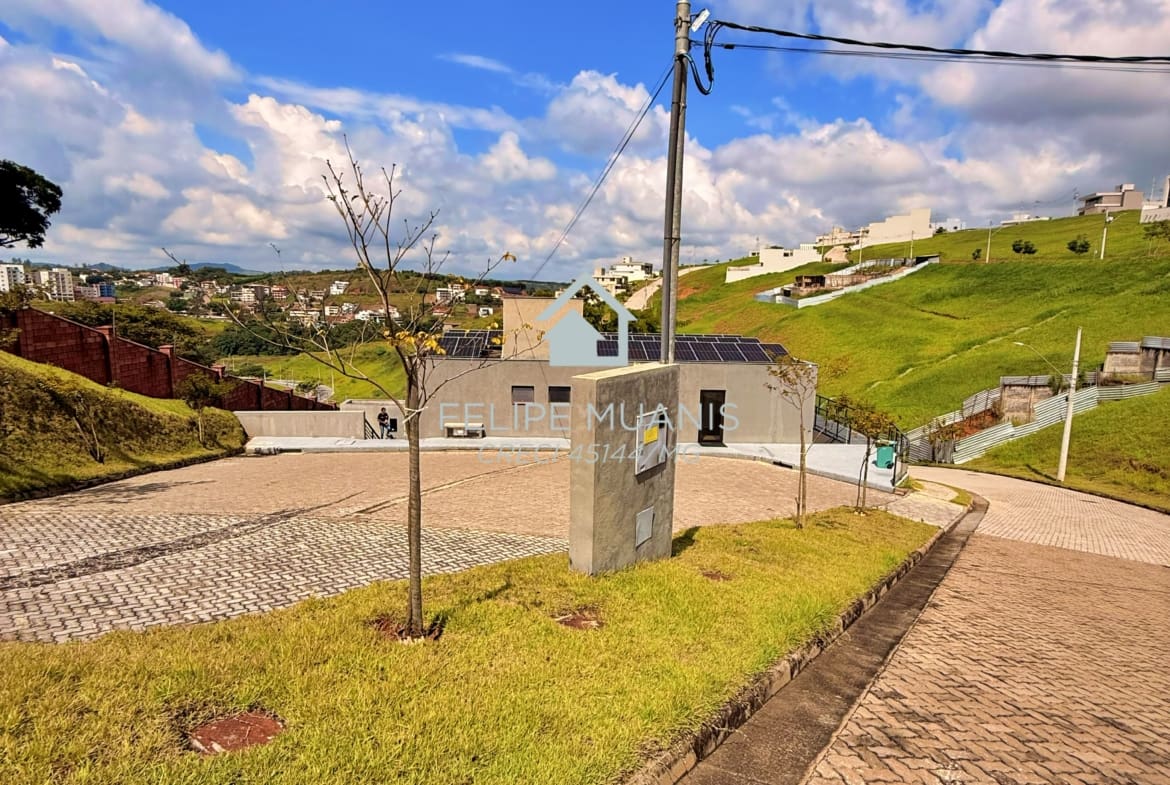 LOTE ESTRELA DA MATA