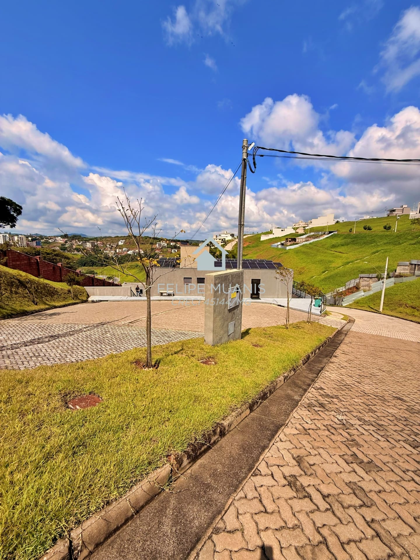 2 LOTE ESTRELA DA MATA