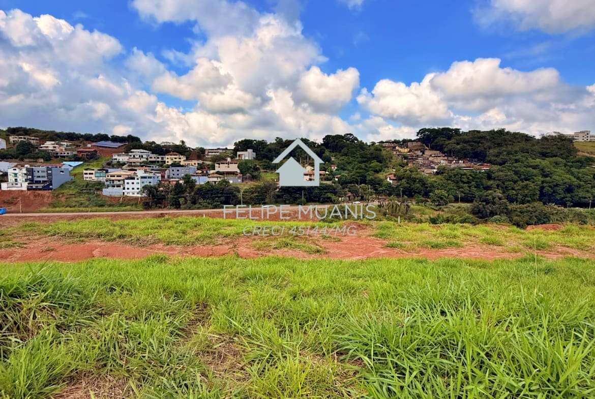 LOTE ESTRELA DA MATA VILLE