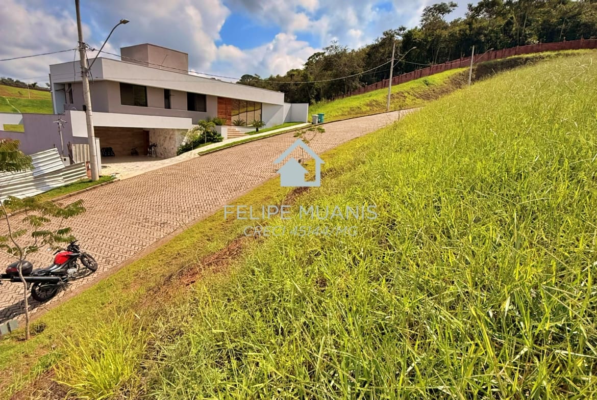 LOTE ESTRELA DA MATA