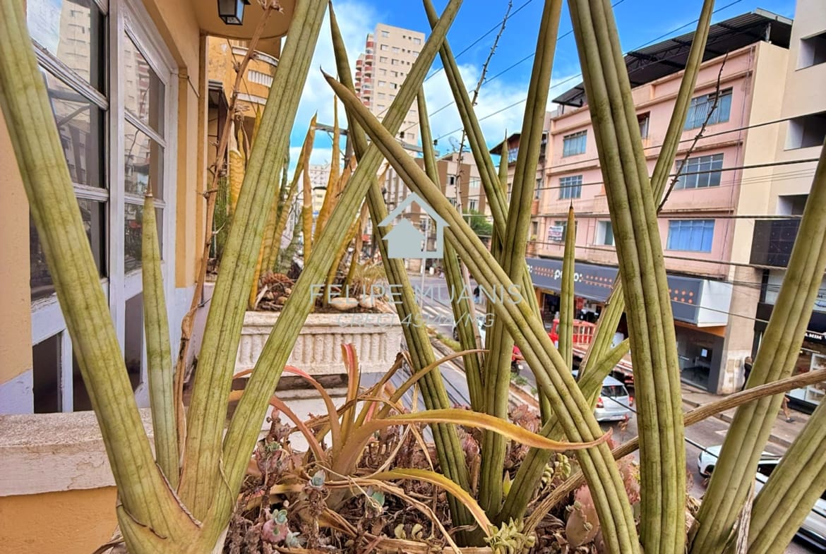 Apto de 235 m² no Bairro Palmeiras | Sem Condomínio