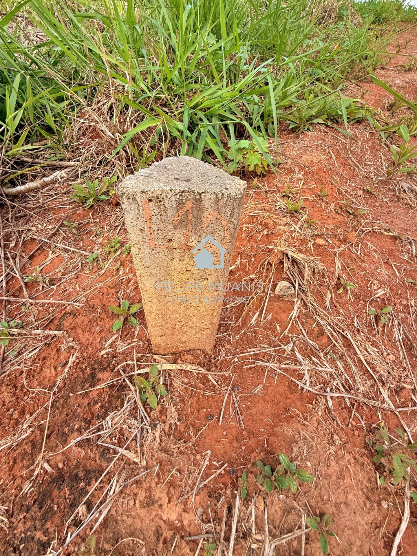 LOTE ESTRELA DA MATA VILLE