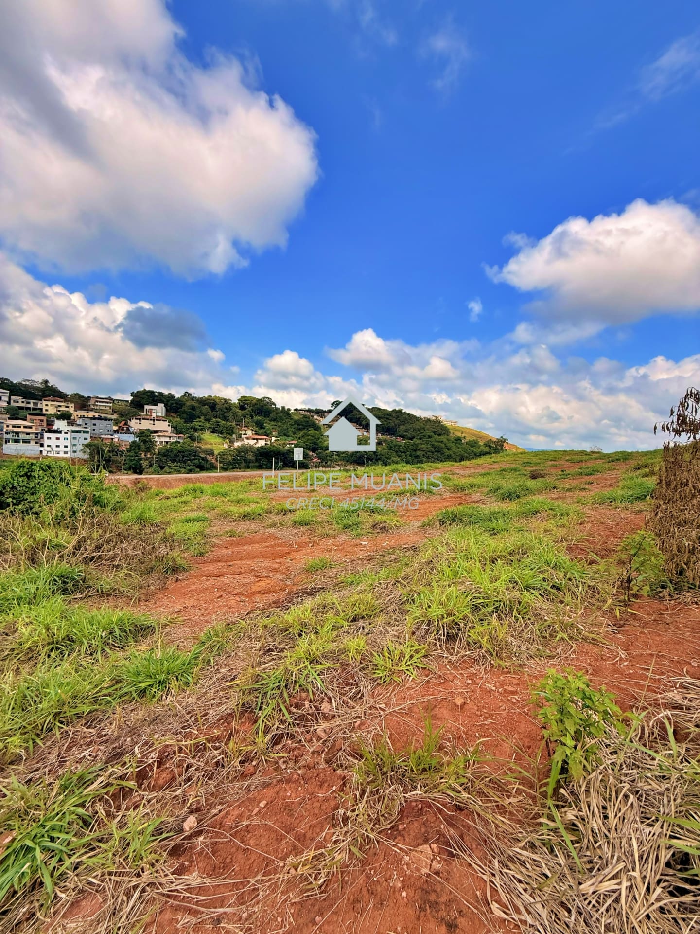 LOTE ESTRELA DA MATA VILLE