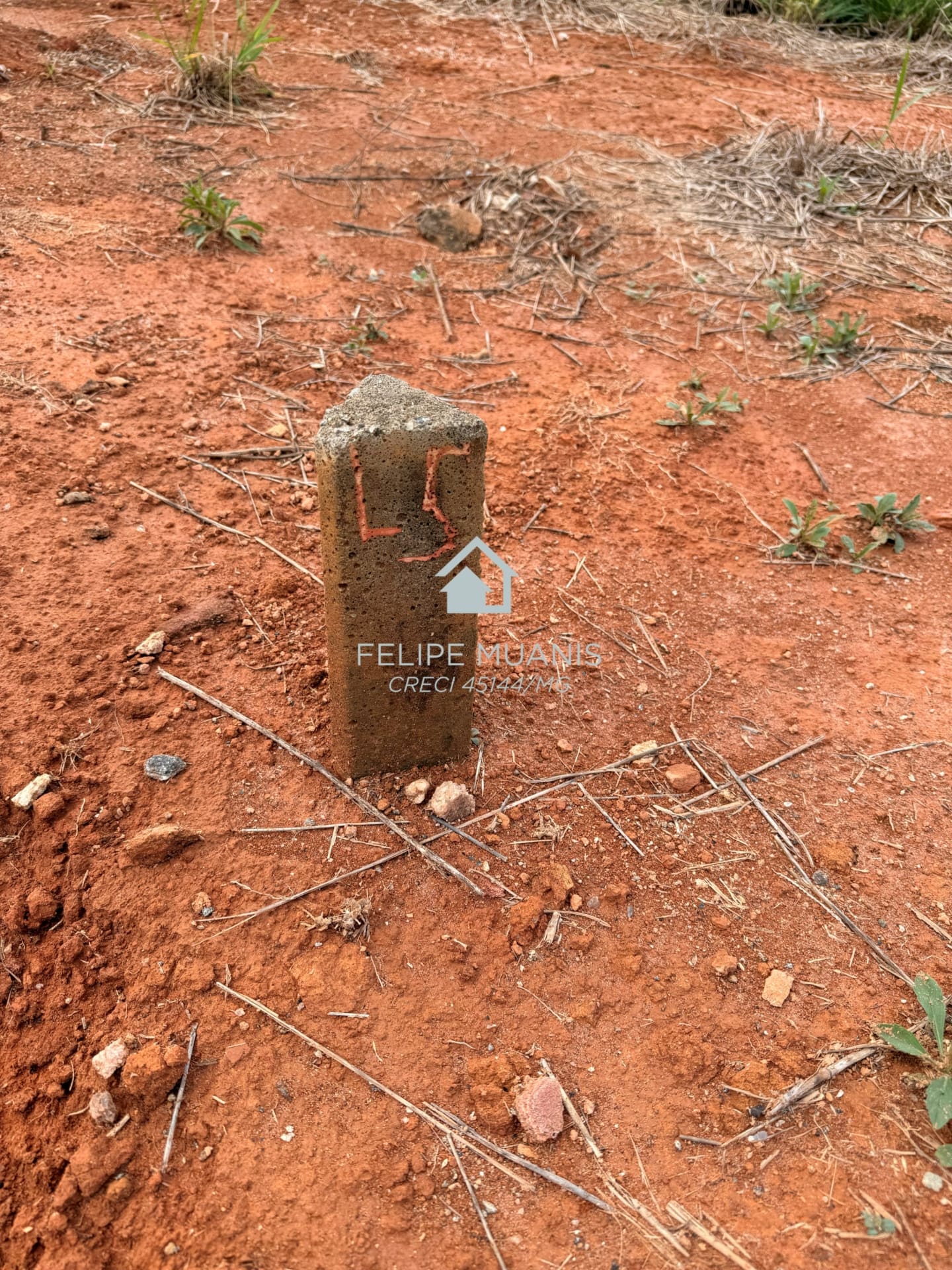 LOTE ESTRELA DA MATA VILLE
