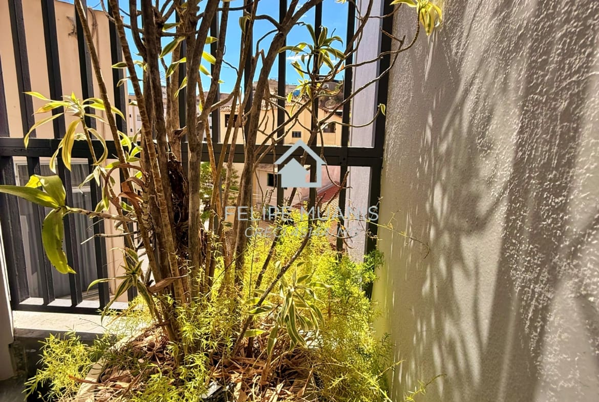Espaço de sobra e custo por m² imbatível no Guarapiranga