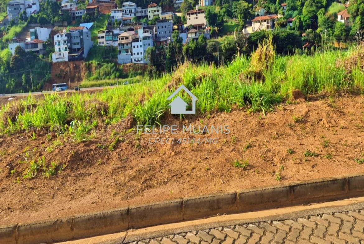 LOTE ESTRELA DA MATA VILLE