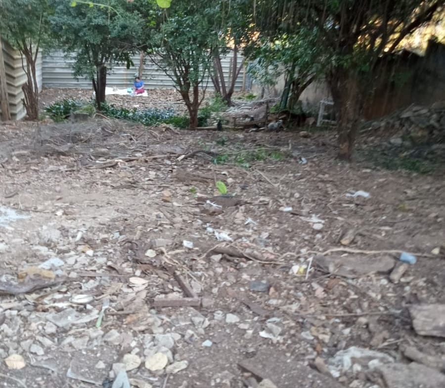 LOTE