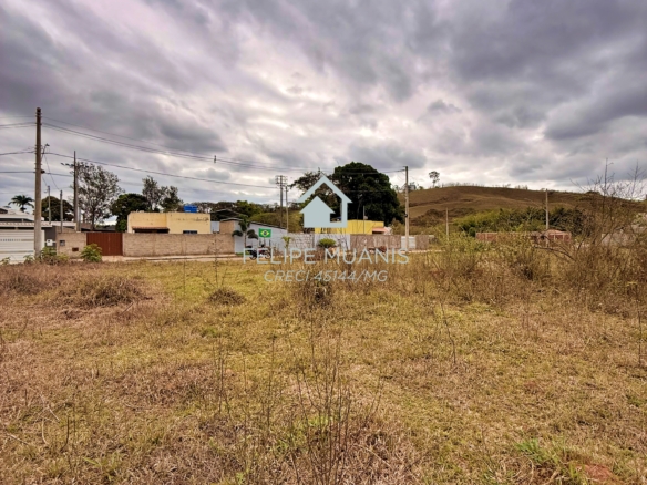LOTE