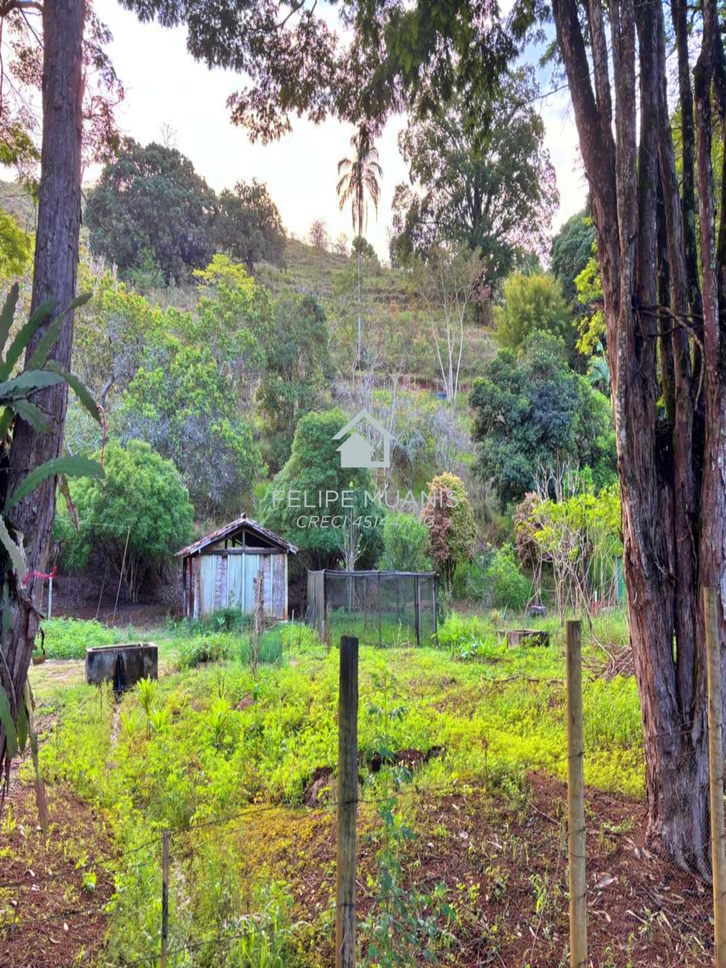 🏗️ 23 HECTARES COM POTENCIAL PARA MAIS DE 200 LOTES!