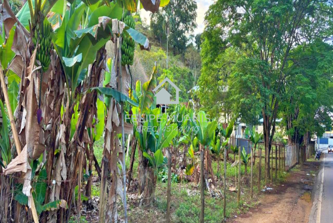 🏗️ 23 HECTARES COM POTENCIAL PARA MAIS DE 200 LOTES!