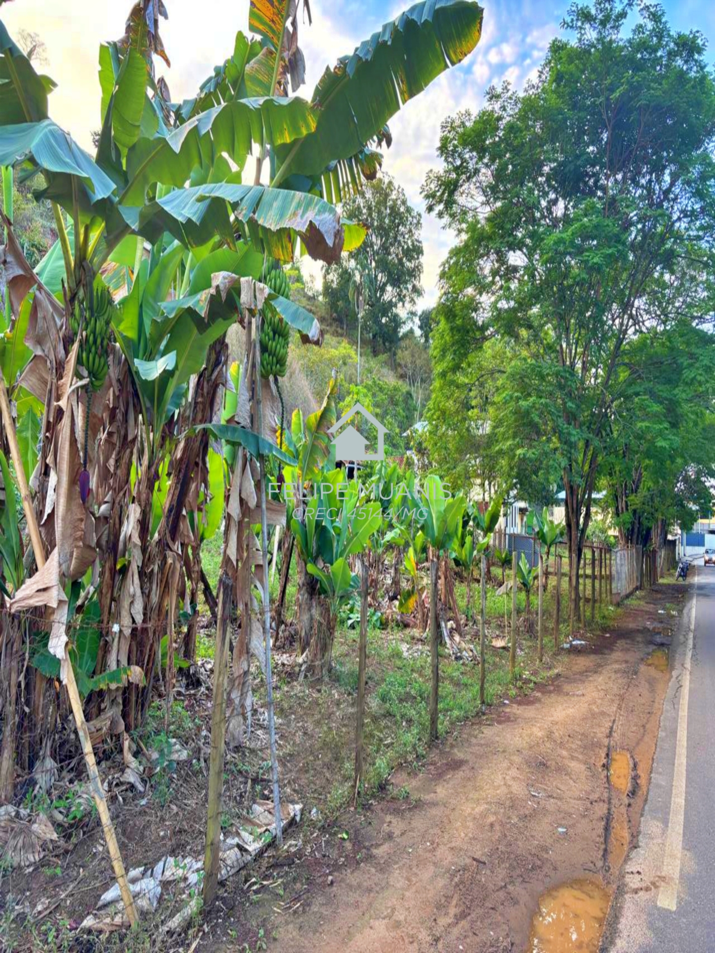 🏗️ 23 HECTARES COM POTENCIAL PARA MAIS DE 200 LOTES!