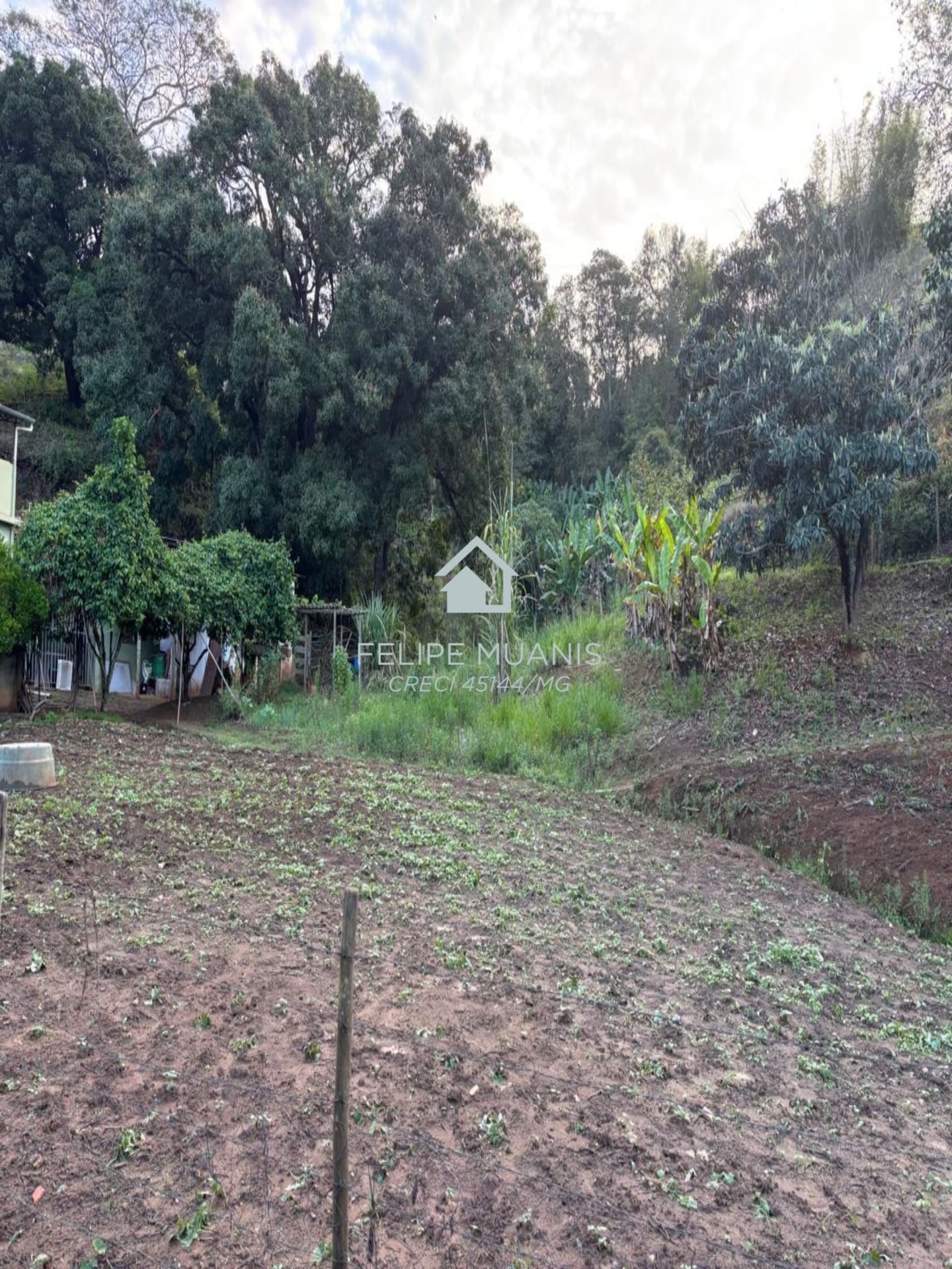 🏗️ 23 HECTARES COM POTENCIAL PARA MAIS DE 200 LOTES!