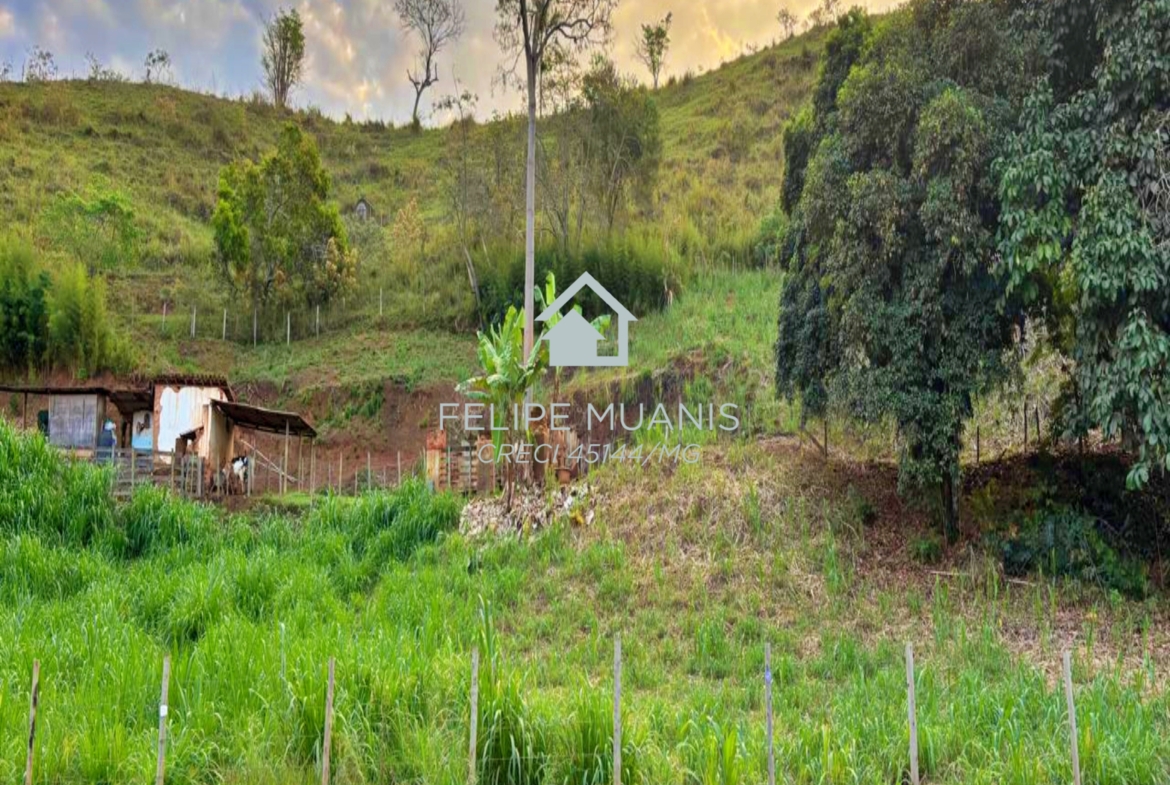 🏗️ 23 HECTARES COM POTENCIAL PARA MAIS DE 200 LOTES!