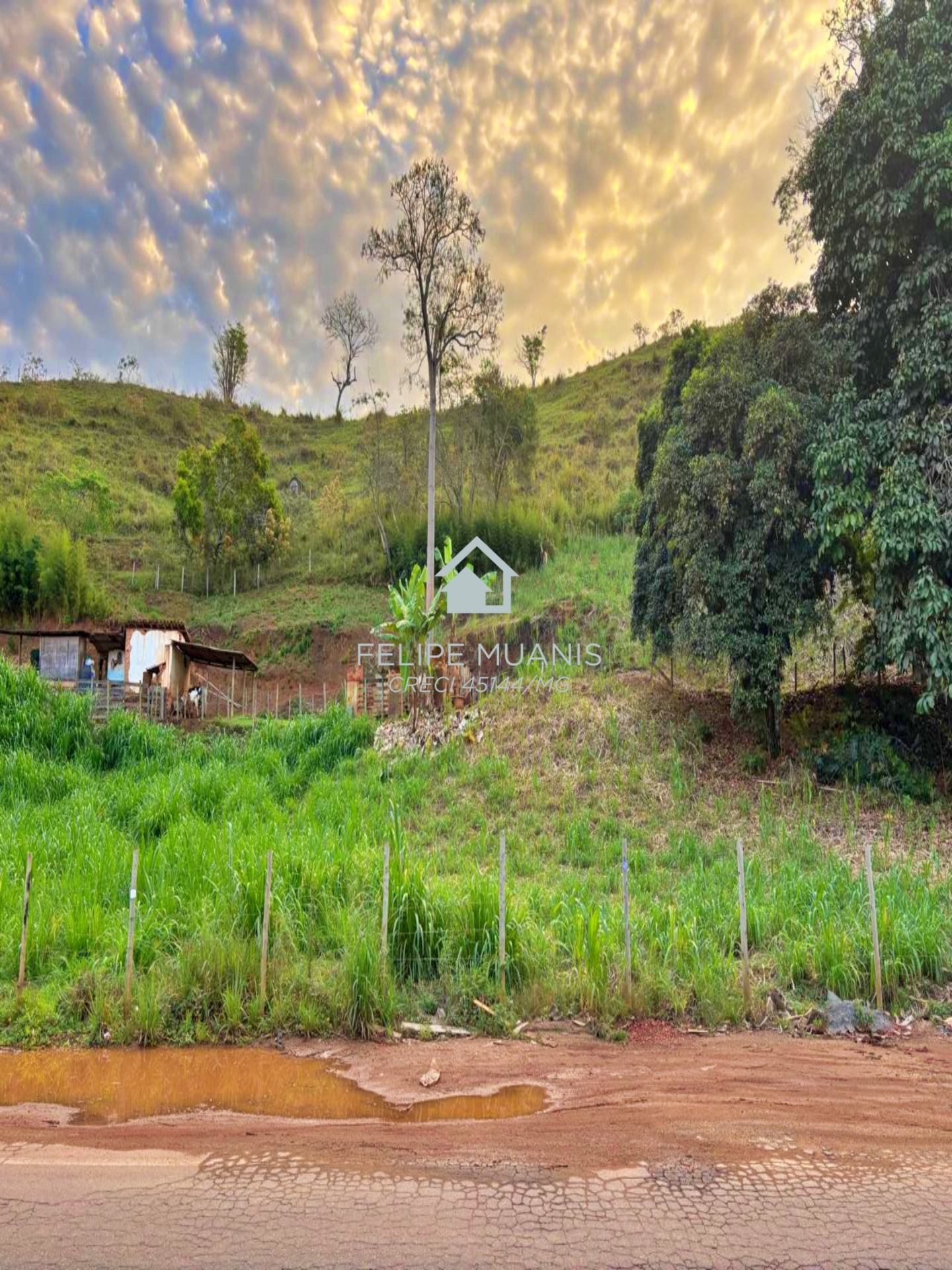 🏗️ 23 HECTARES COM POTENCIAL PARA MAIS DE 200 LOTES!