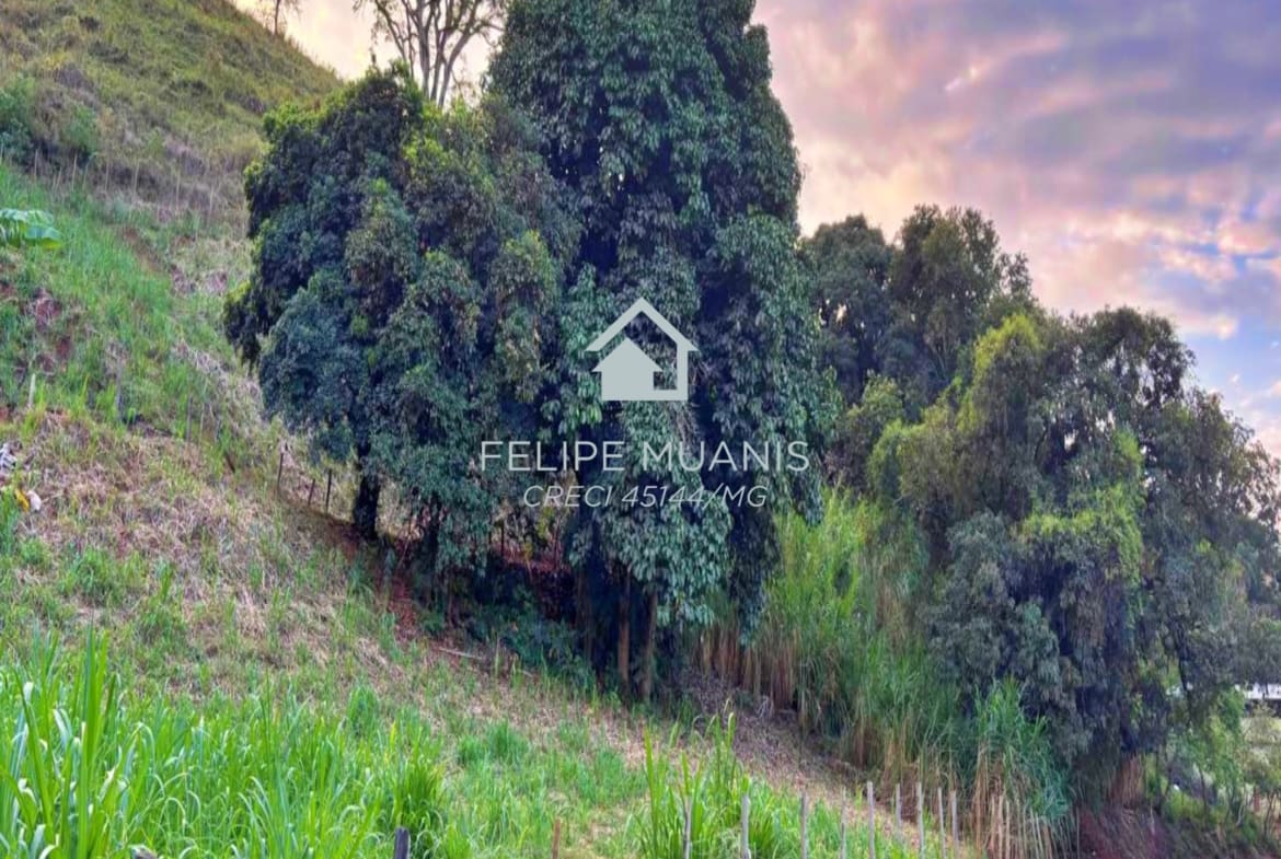 🏗️ 23 HECTARES COM POTENCIAL PARA MAIS DE 200 LOTES!